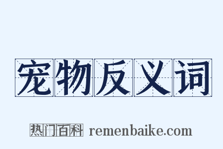 宠物反义词是什么意思的图片